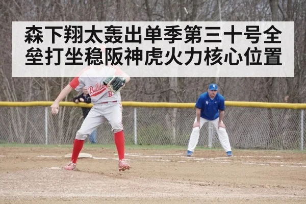 baseball game action